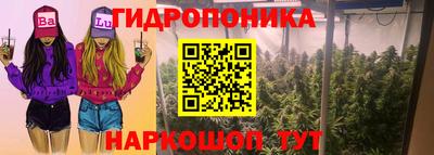 apvp Бузулук