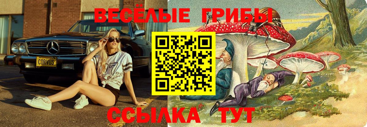 Псилоцибиновые грибы GOLDEN TEACHER  Галлюциногенные грибы прущие грибы  Вход с VPN  хочу   Ялта 